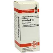 Aesculus C12 Globuli 10 g von DHU-Arzneimittel GmbH & Co. KG PZN 07454158