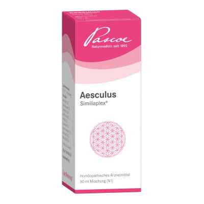 Aesculus Similiaplex Tropfen 50 ml von Pascoe pharmazeutische Präparate PZN 01349816