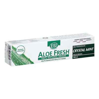 Aloe Vera Zahnpasta Dent Mint 100 ml von Groß GmbH PZN 19291974