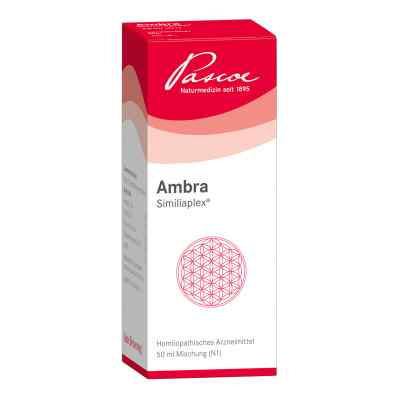 Ambra Similiaplex 50 ml von Pascoe pharmazeutische Präparate PZN 03833580