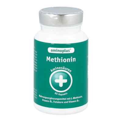 Aminoplus Methionin plus Vitamin B Komplex Kapseln 60 stk von Kyberg Vital GmbH PZN 01824186