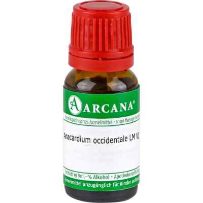 Anacardium Occidentale Lm 06 Dilution 10 ml von ARCANA Dr. Sewerin GmbH & Co.KG PZN 13327369