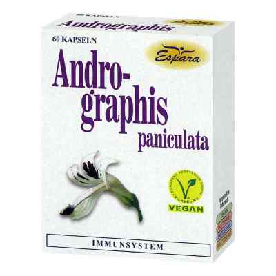 Andrographis paniculata Kapseln 60 stk von Espara GmbH PZN 07643333