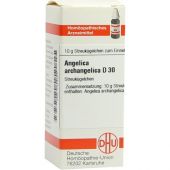 Angelica Archangelica D30 Globuli 10 g von DHU-Arzneimittel GmbH & Co. KG PZN 07454454