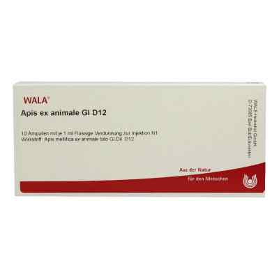Apis Ex Animale Gl D12 Ampullen 10X1 ml von WALA Heilmittel GmbH PZN 03359233