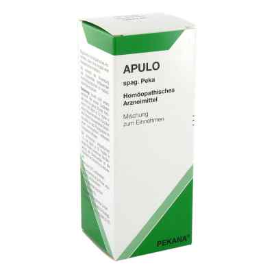 Apulo spag. Peka Saft 125 ml von PEKANA Naturheilmittel GmbH PZN 02738632