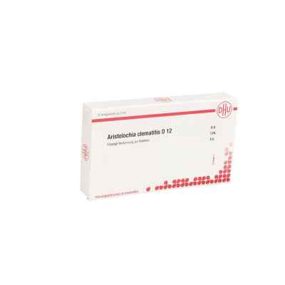Aristolochia Clematitis D12 Ampullen 8X1 ml von DHU-Arzneimittel GmbH & Co. KG PZN 11704106