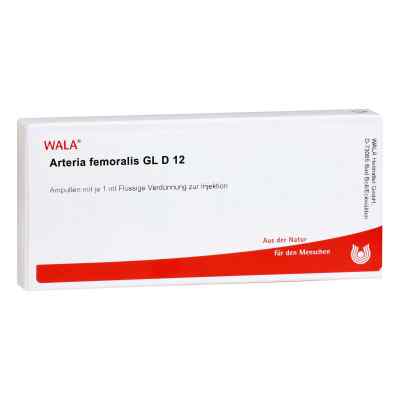 Arteria Femoralis Gl D12 Ampullen 10X1 ml von WALA Heilmittel GmbH PZN 02904266