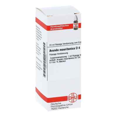 Arundo Mauritan. D4 Dilution 20 ml von DHU-Arzneimittel GmbH & Co. KG PZN 04205822