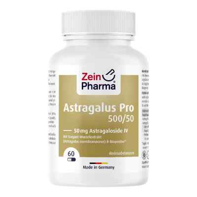 Astragalus Pro 500/50 50 Mg Astragaloside Iv Kapsel (n) 60 stk von Zein Pharma - Germany GmbH PZN 17885505