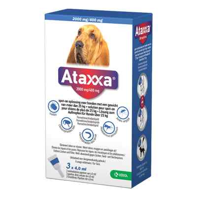 Ataxxa 2000 mg/400 mg Lösung zum Auftropfen für Hunde über 25kg