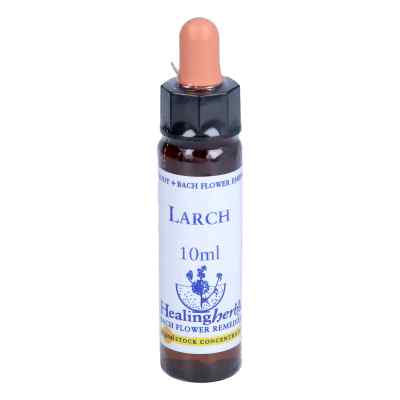 Bachblüten Larch Healing Herbs Tropfen
