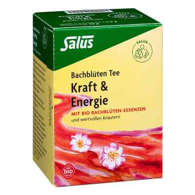 Bachblüten Tee Kraft & Energie bio Salus 15 stk von SALUS Pharma GmbH PZN 07790028