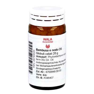 Bambusa E Nodo D6 Globuli 20 g von WALA Heilmittel GmbH PZN 08784320