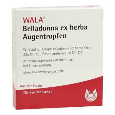 Belladonna Ex Herba Augentropfen 5X0.5 ml von WALA Heilmittel GmbH PZN 01447915