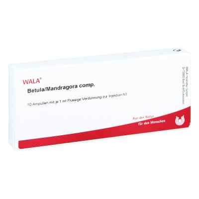 Betula/mandragora Comp. Ampullen 10X1 ml von WALA Heilmittel GmbH PZN 01751004