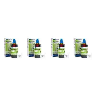 Bronchipret Saft TE