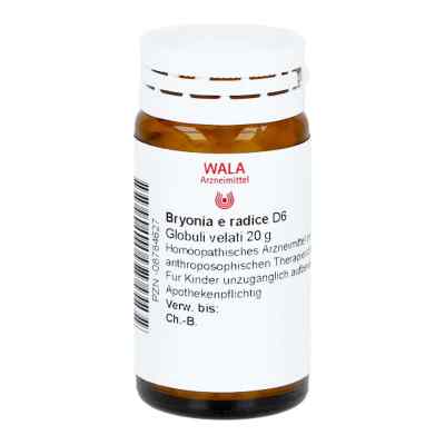 Bryonia E Rad. D6 Globuli 20 g von WALA Heilmittel GmbH PZN 08784627