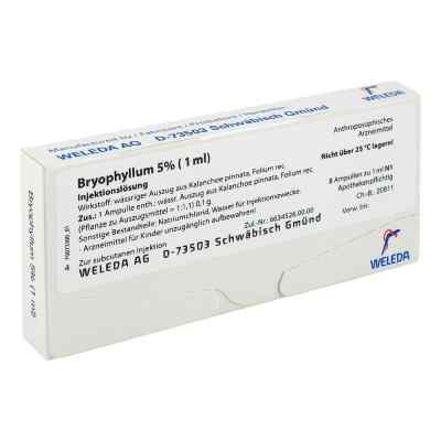 Bryophyllum 5% 1 ml Injektionslösung 8X1 ml von WELEDA AG PZN 01755829