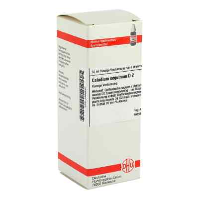Caladium Seguinum D2 Dilution 50 ml von DHU-Arzneimittel GmbH & Co. KG PZN 02894935