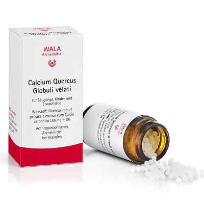 Calcium Quercus Globuli velati 20 g von WALA Heilmittel GmbH PZN 00081091