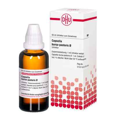 Capsella Bursa Past. Urtinktur 50 ml von DHU-Arzneimittel GmbH & Co. KG PZN 02809088