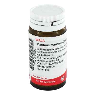 Carduus Marianus/ Oxalis Globuli 20 g von WALA Heilmittel GmbH PZN 08784900