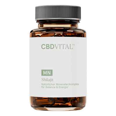 CBD VITAL MN Shilajit Kapseln