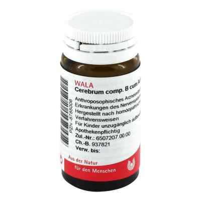 Cerebrum Comp. B cum Auro compositus Globuli 20 g von WALA Heilmittel GmbH PZN 08785006