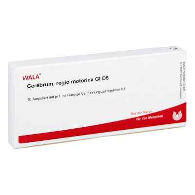 Cerebrum Regio Motor Gl D5 Ampullen 10X1 ml von WALA Heilmittel GmbH PZN 03359836