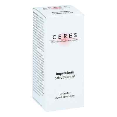 Ceres Imperatoria ostruthium Urtinktur