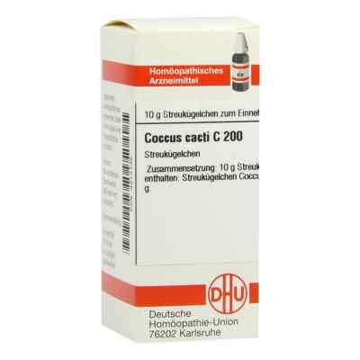 Coccus Cacti C200 Globuli 10 g von DHU-Arzneimittel GmbH & Co. KG PZN 04213135