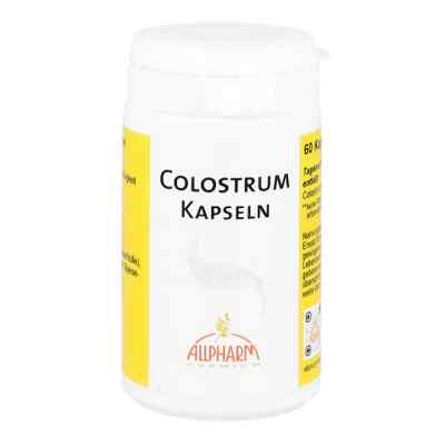 Colostrum Kapseln 60 stk von ALLPHARM Vertriebs GmbH PZN 04436220