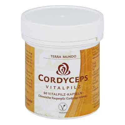 Cordyceps Vitalpilz Terra Mundo Kapseln
