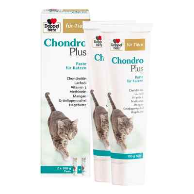Doppelherz Für Tiere Chondro Plus Paste F.katzen