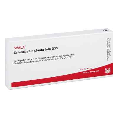 Echinacea E Planta Tota D30 Ampullen 10X1 ml von WALA Heilmittel GmbH PZN 03358280