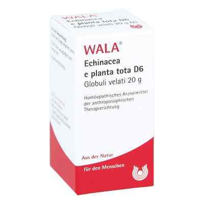 Echinacea E Planta Tota D6 Globuli 20 g von WALA Heilmittel GmbH PZN 08785704