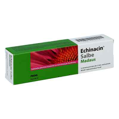 Echinacin Salbe Madaus 40 g von Viatris Healthcare GmbH PZN 03429181