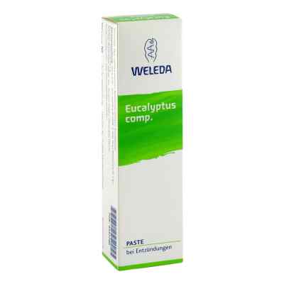 Eucalyptus Comp. Paste 100 g von WELEDA AG PZN 00347790