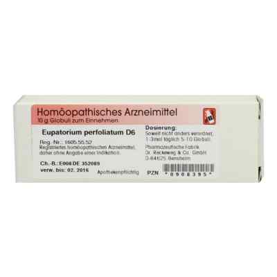 Eupatorium Perfoliatum D6 Globuli 10 g von Dr.RECKEWEG & Co. GmbH PZN 00908395