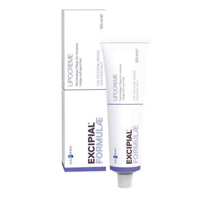 Excipial Lipocreme 100 ml von Galderma Laboratorium GmbH PZN 01120261