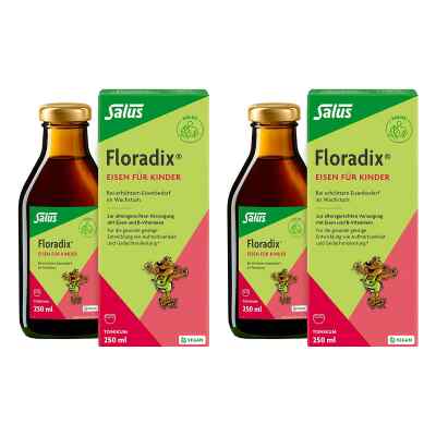 Floradix Eisen für Kinder Tonikum