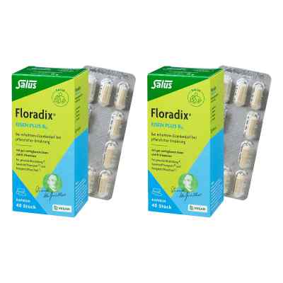 Floradix Eisen Plus B12 vegan Kapseln