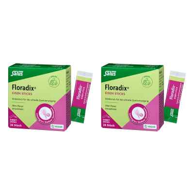 Floradix Eisen Sticks Pulver Salus