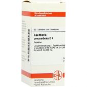 Gaultheria Procumbens D4 Tabletten 80 stk von DHU-Arzneimittel GmbH & Co. KG PZN 07168487
