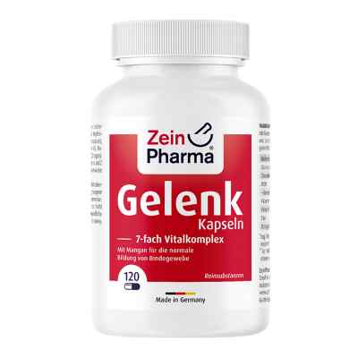 Gelenk Kapseln 120 stk von Zein Pharma - Germany GmbH PZN 10782133