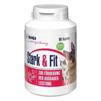 GIGI VET Stark & Fit für Hunde und Katzen N90
