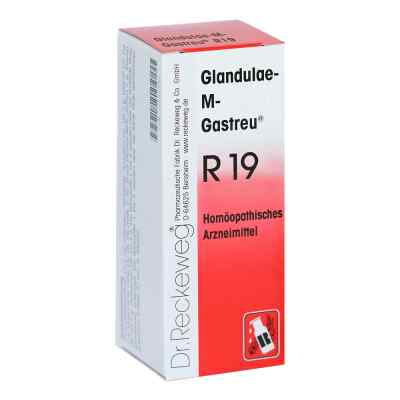 Glandulae M Gastreu R 19 Tropfen zum Einnehmen 50 ml von Dr.RECKEWEG & Co. GmbH PZN 07645332