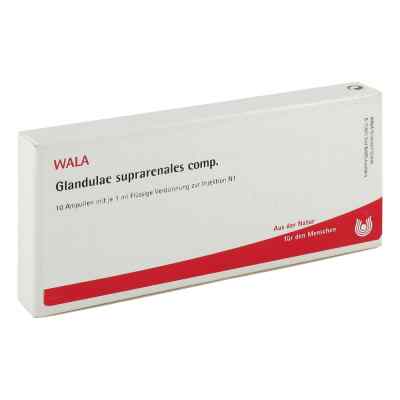 Glandulae Supraren. Comp. Ampullen 10X1 ml von WALA Heilmittel GmbH PZN 01751501