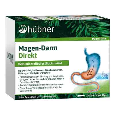 Hübner Magen-Darm Direkt Gel